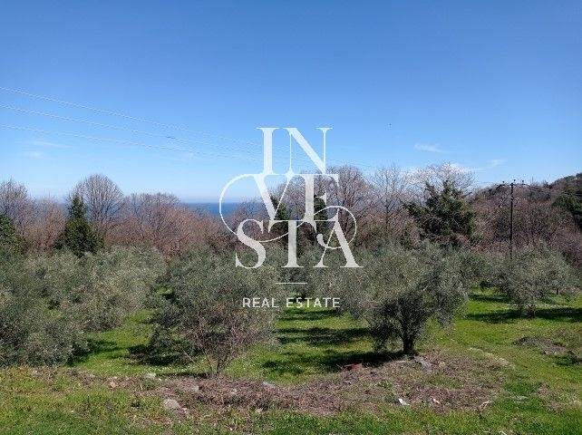 (For Sale) Land Agricultural Land  || Larissa/Evrymenoi - 7.417 Sq.m, 15.800€ 