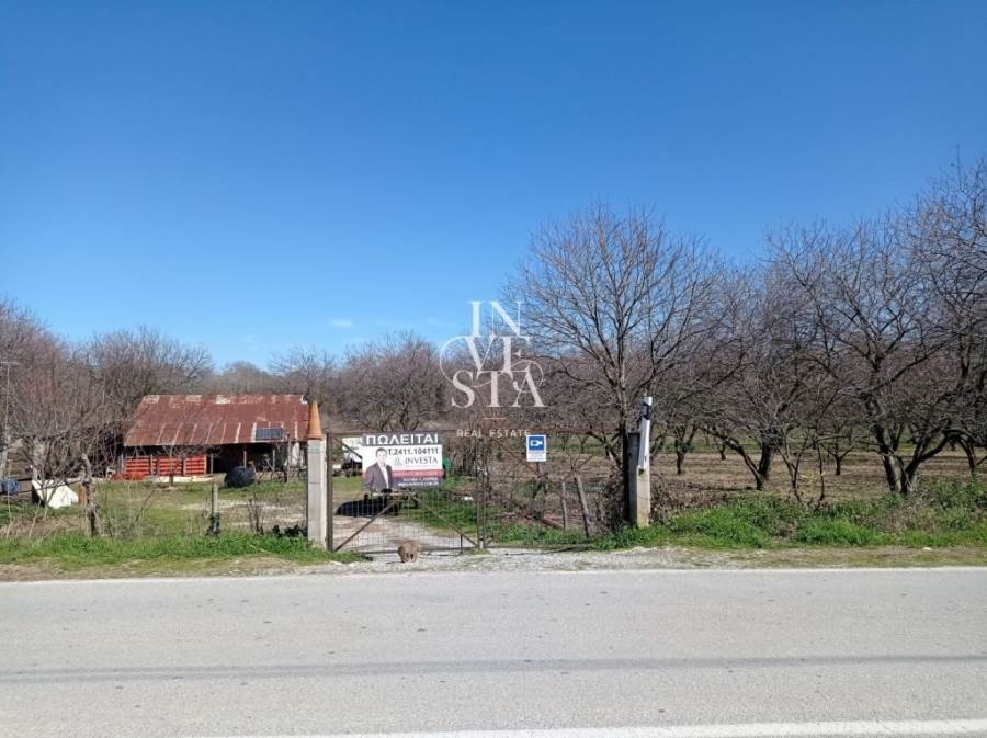 (For Sale) Land Agricultural Land  || Larissa/Evrymenoi - 5.065 Sq.m, 58.000€ 